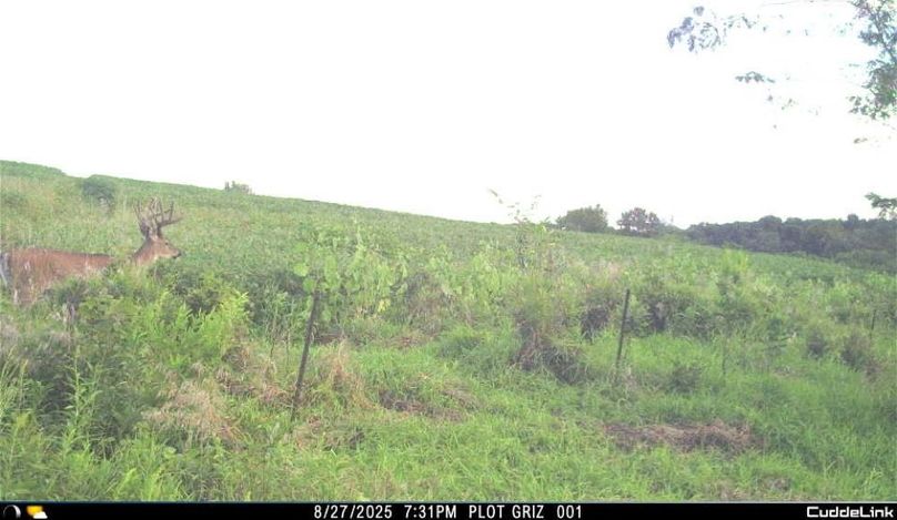 New Deer Trailcams (1)-2