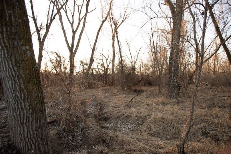 ATCHISON CO MO 56_54