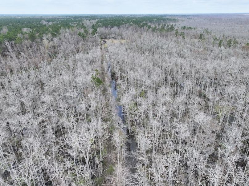 dji_fly_20260123_134308_0970_1769444762468_photo