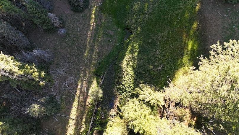 DJI_20250614082007_0148_D