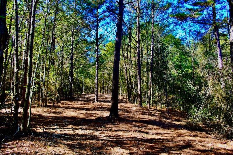 B1C02851-31C2-405E-A4A4-860ED618F637_1_105_c