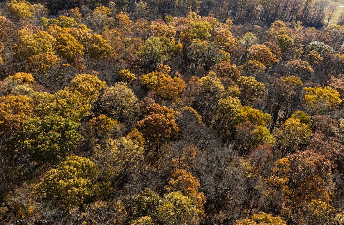 4-DJI_20251101090128_0004_D