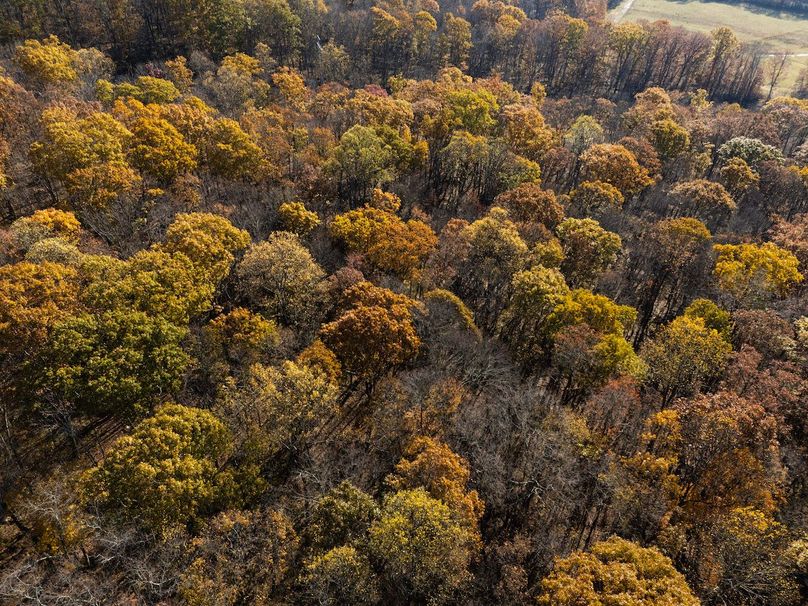 4-DJI_20251101090128_0004_D