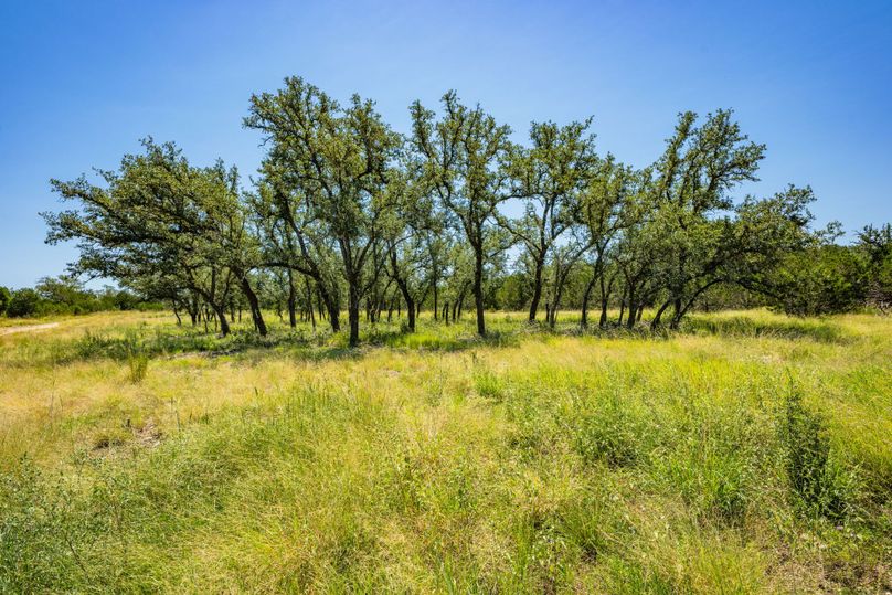 8-web-or-mls-DSC08325