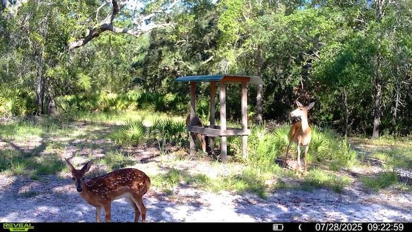 016579002709132-48-3-07282025092259-V-SYFW02087