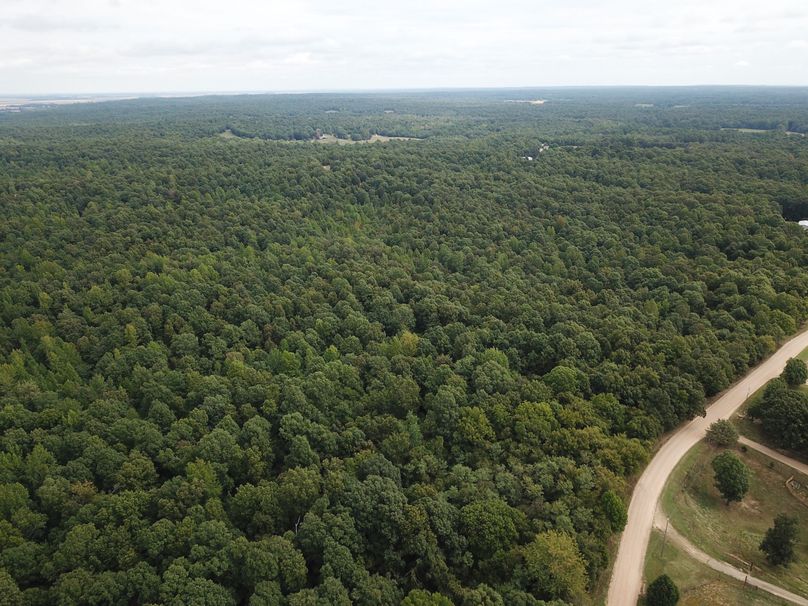 DJI_0057