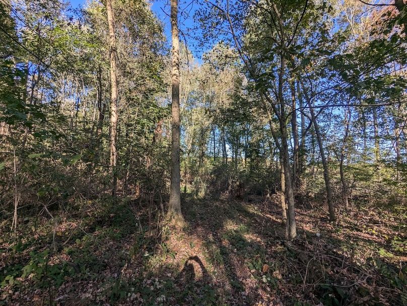 PXL_20251001_204806571