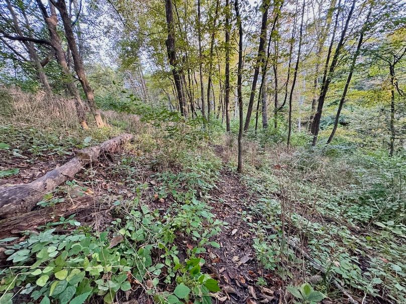 Richland 199Ground - 33