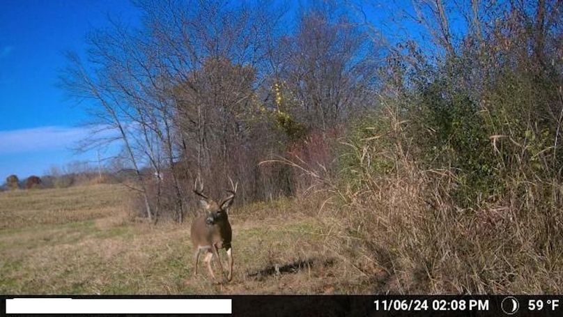 Temp_1580245-20241106200932-100MFCAM_MFDC2106