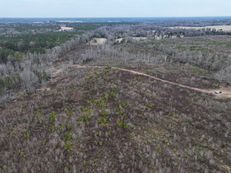 Copy of dji_fly_20251224_112638_0184_1767705807049_photo