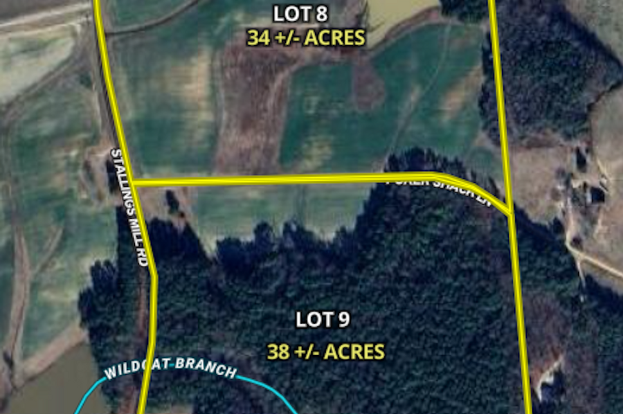 Z 8 & 9 lots
