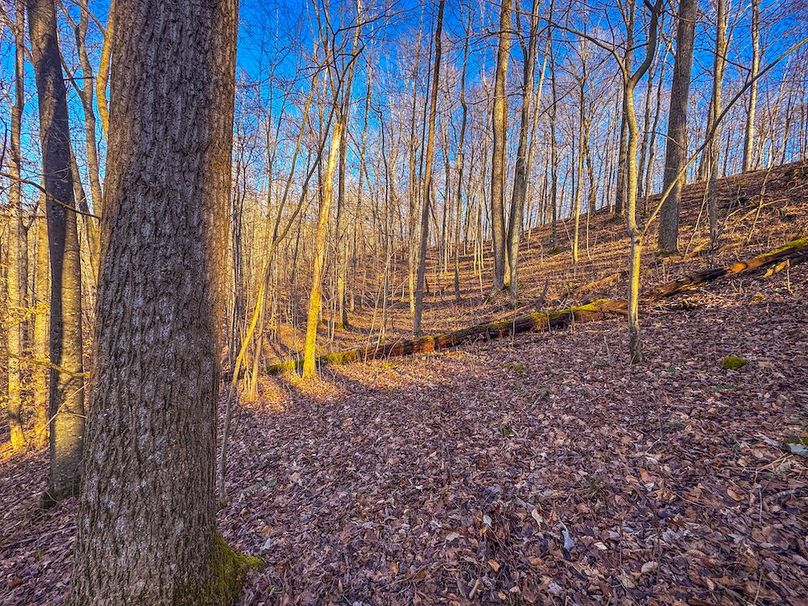 Lewis, WV 82.87 AC Barger-47