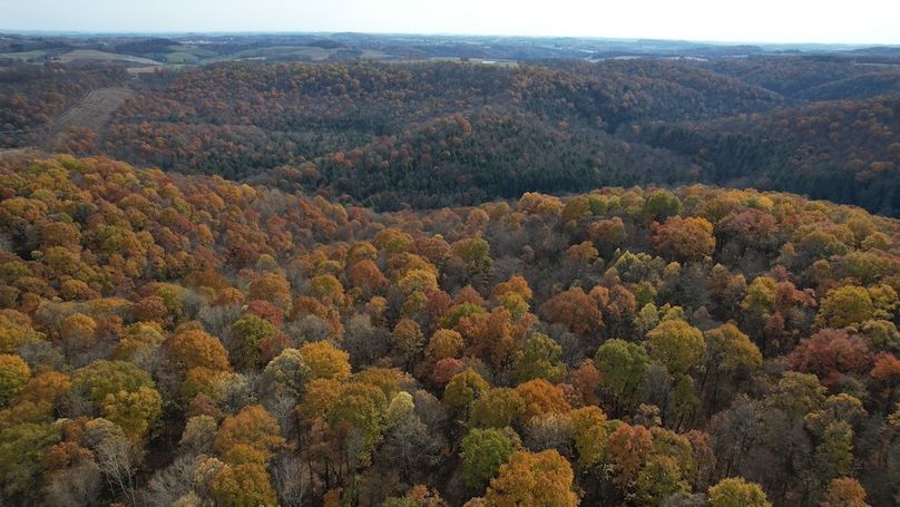 dji_fly_20251105_123438_916_1762380905518_photo