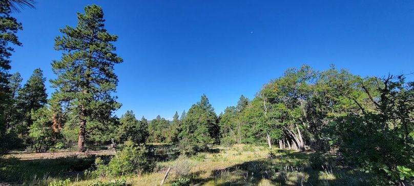 Copy of 20210827_090742