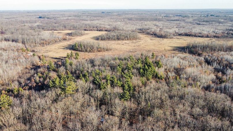 ClarK 160 WILLIAMS -27