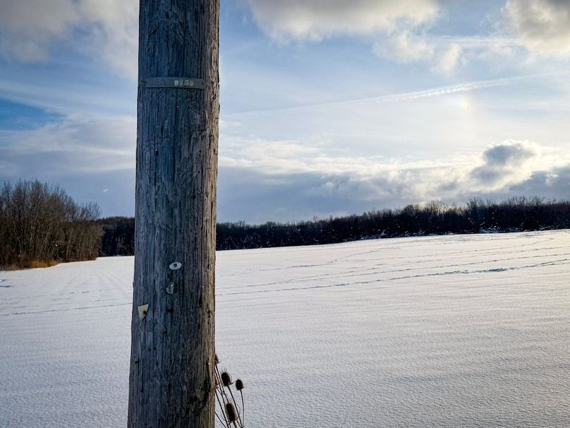 Wayne_39.86_Dates-Photos_7