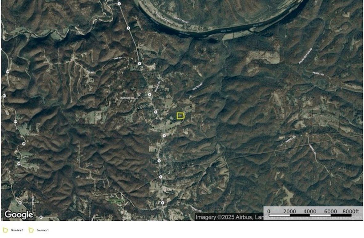 Buchannan Google Far