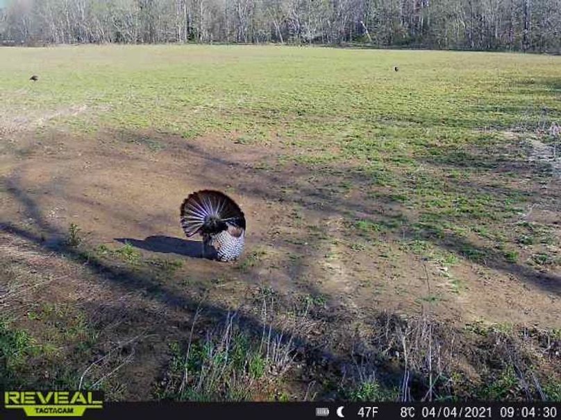 865519049947982-100-4-04042021090430-W1007698