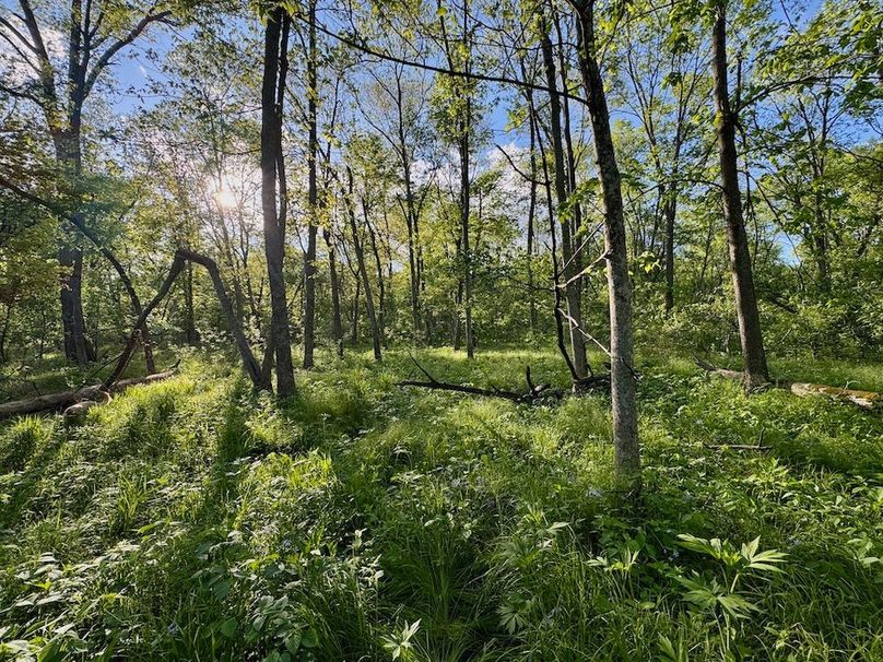 La Crosse 56.17 - 18