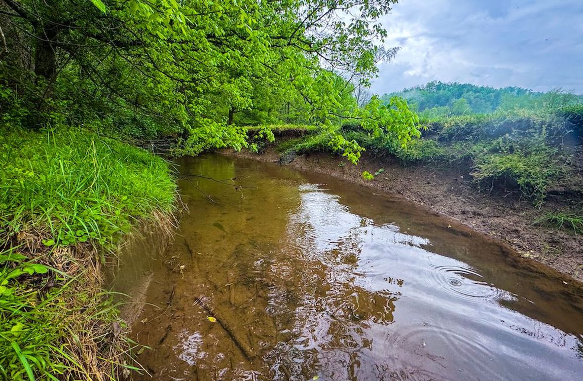 Lewis, WV 34.74 AC Graham-06