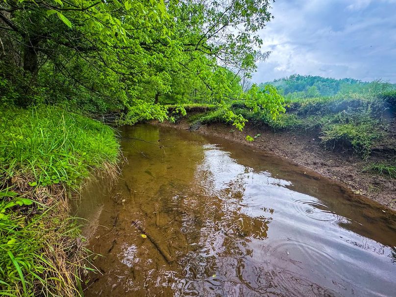 Lewis, WV 34.74 AC Graham-06