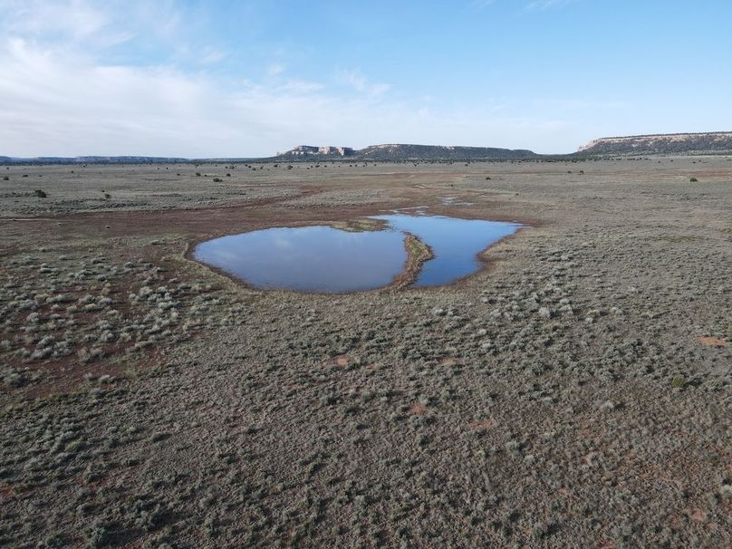 dji_fly_20240504_075116_336_1714830731790_photo