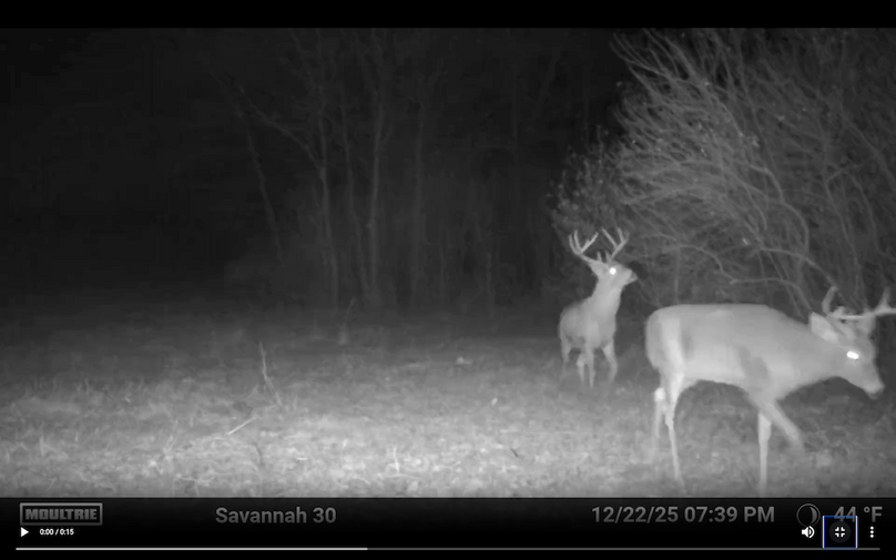 18.5