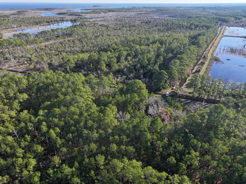 dji_fly_20231220_090516_0011_1703094072158_photo