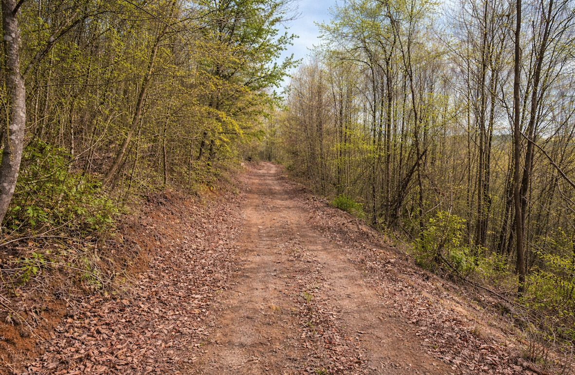 ChatGPT Image Mar 30, 2026, 01_04_08 PM