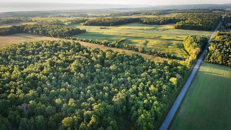 Copy of Wood Tract 1 Photo 1