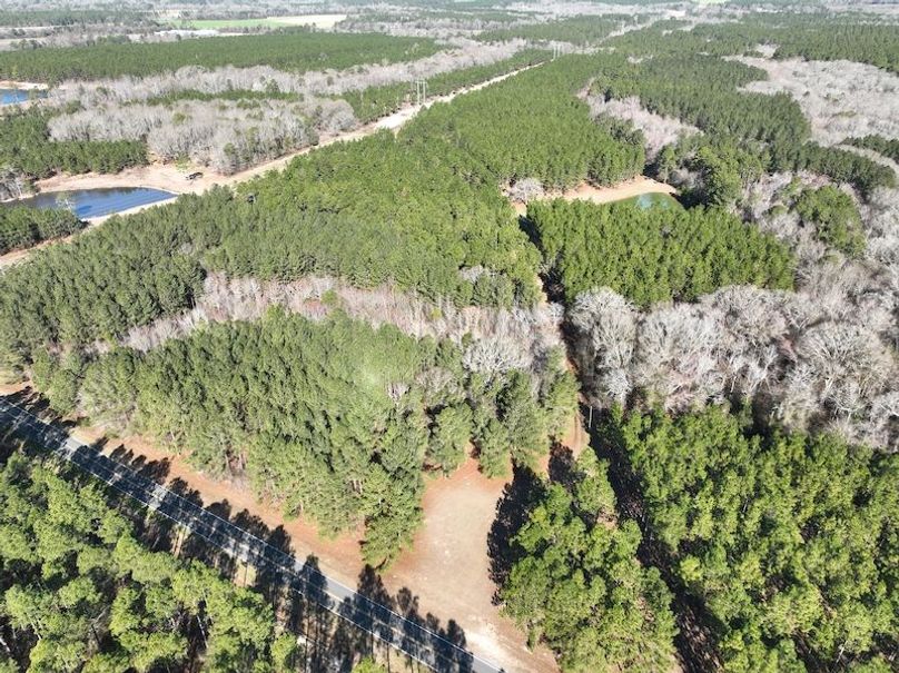 dji_fly_20240207_103722_47_1707320797228_photo