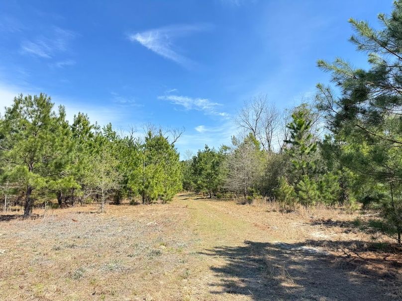 A95947FE-0EB1-4E99-9B66-F5A4470C44DB