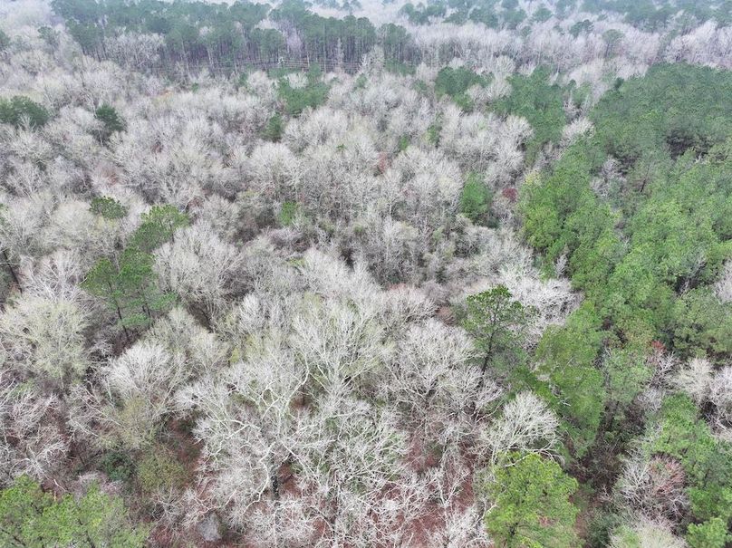 dji_fly_20260122_101106_0859_1769444810207_photo