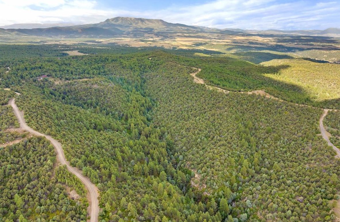 DJI_20250924102203_0003_D