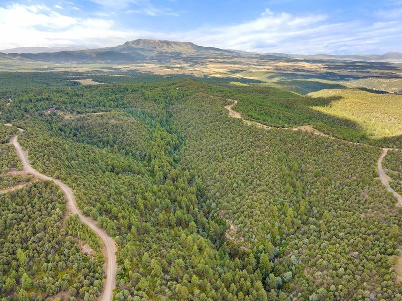 DJI_20250924102203_0003_D