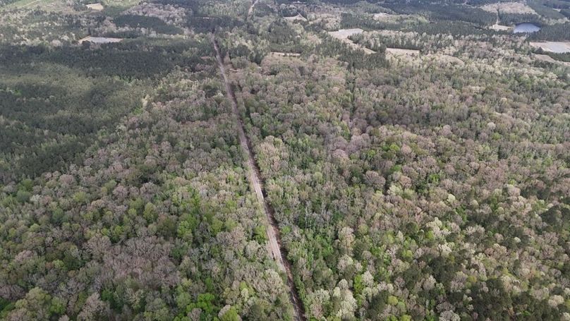 DJI_20260402004146_0203_D