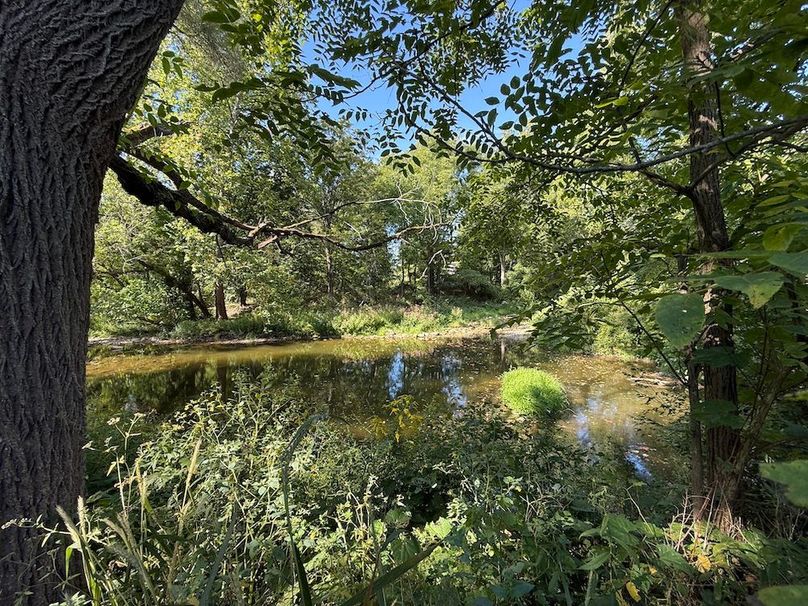 Cayuga_5.7_Cotten Photo 19