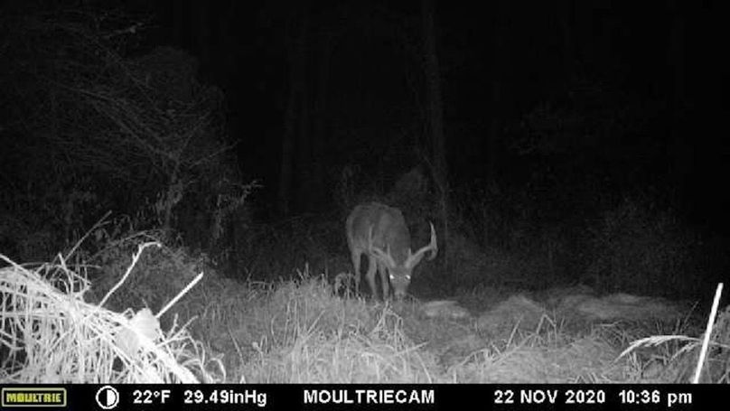 3FE30146-344E-48E6-A3EB-64C7D123D73D