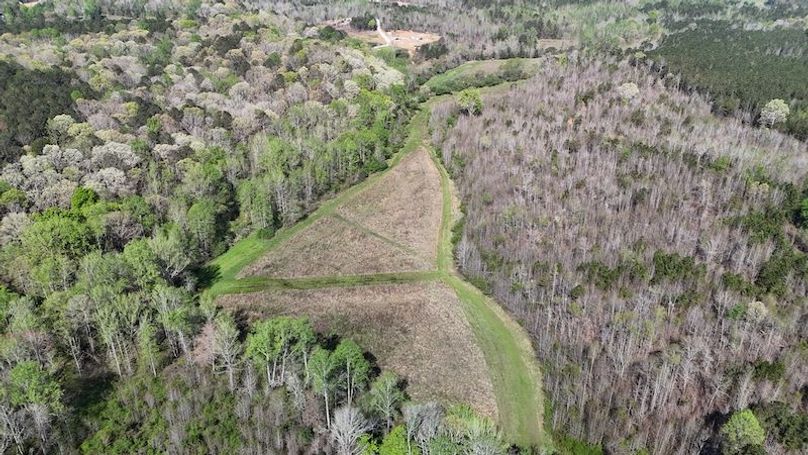 DJI_20250408110125_0102_D