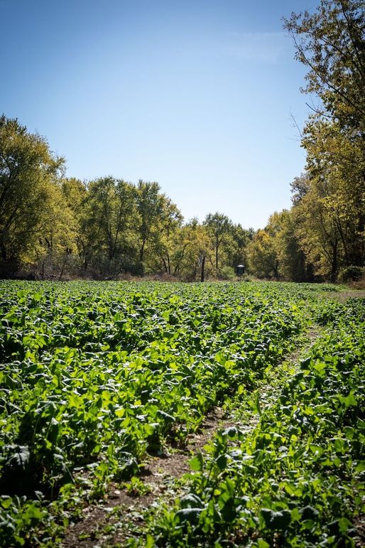 20241028_154904_AC5909