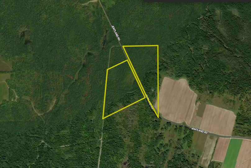 Screenshot 2026-03-06 at 9.09.53 AM