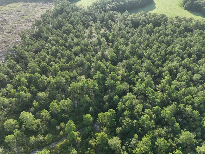 dji_fly_20230813_083838_534_1691930569532_photo