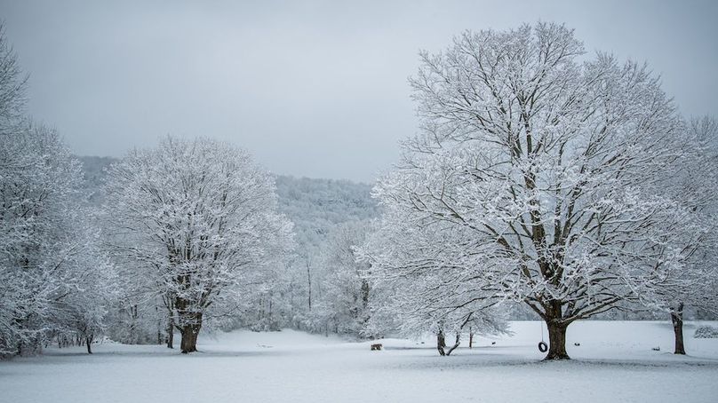 Schuyler_2_Lewis Photo 42