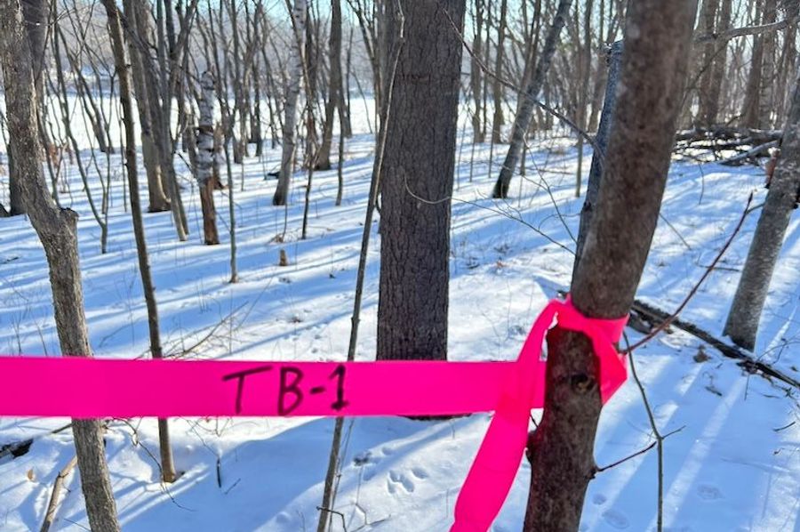 Soil Survey site