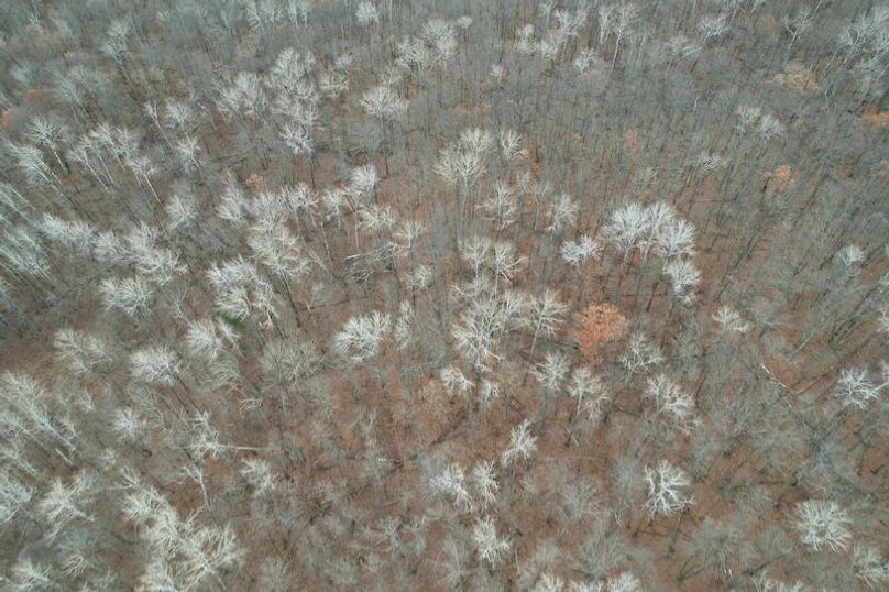 dji_fly_20251104_161036_11_1762294521795_photo