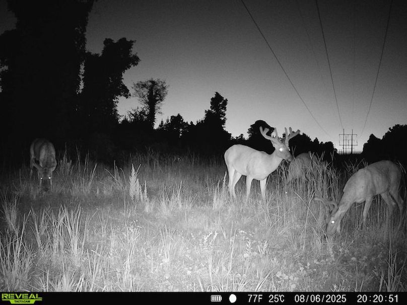 TwinStatesTrailCam06