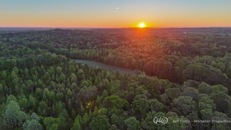 Hinds Co - 51 - Hughes-2