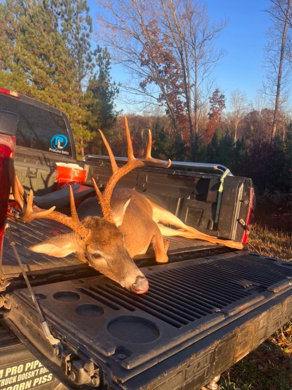 A1167A5E-2FA6-4559-AC02-EBC84EF34D16