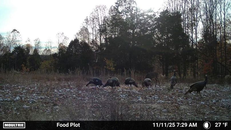 Grayson 48.195 Johnson25