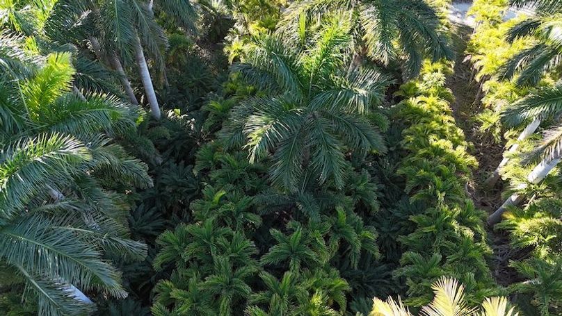 DJI_20260206090944_0258_D